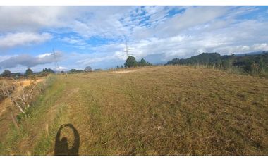 Venta de Lote en Guatapé, Antioquia | Vista al embalse.