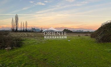 CERCA DE TENO. A UNOS MINUTOS DE LA CIUDAD DE CURICO