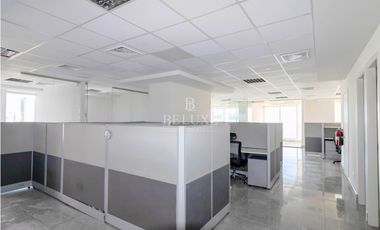 ALQUILER DE OFICINA AMOBLADA EN MARBELLA, TORRE BICSA (P)