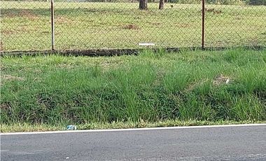 VENTA TERRENO COMERCIAL PENONOMÉ 5000m2
