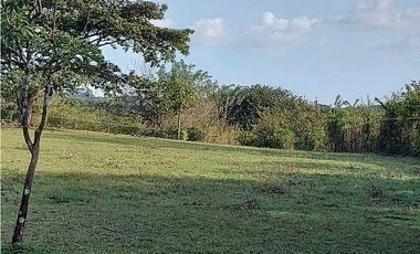 VENTA TERRENO COMERCIAL PENONOMÉ 5000m2