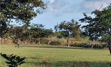 VENTA TERRENO COMERCIAL PENONOMÉ 5000m2