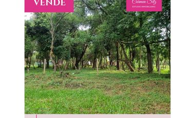 Terrenos en Candelaria cercanos a la costanera