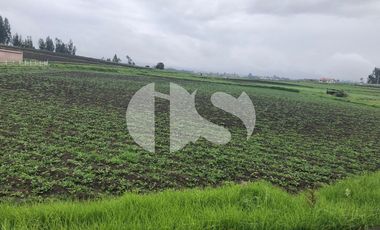 SE VENDE TERRENO EN URBANIZACION PRIVADA CHAMBO