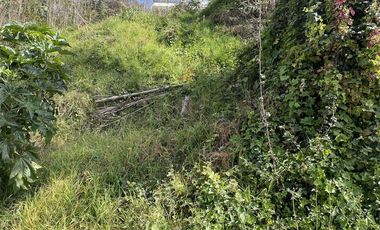 Terreno Construccion  en Venta en Borgoño escalera el Prado