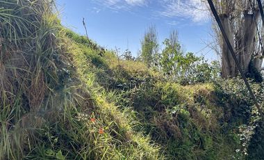 Terreno Construccion  en Venta en Borgoño escalera el Prado
