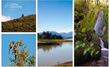 VENTA PARCELAS COSTA CANTERA - LAGO COLBÚN desde UF1.990