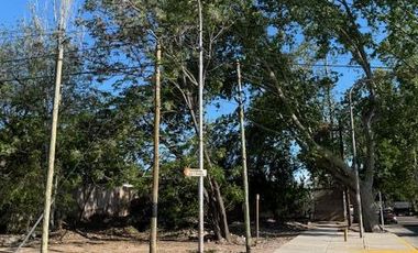 Terreno en  Venta - Carril Mathus Hoyos - Bermejo - Mendoza