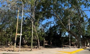 Terreno en  Venta - Carril Mathus Hoyos - Bermejo - Mendoza