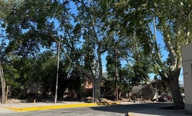 Terreno en  Venta - Carril Mathus Hoyos - Bermejo - Mendoza