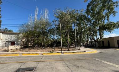 Terreno en  Venta - Carril Mathus Hoyos - Bermejo - Mendoza