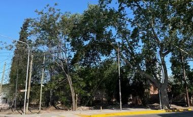 Terreno en  Venta - Carril Mathus Hoyos - Bermejo - Mendoza
