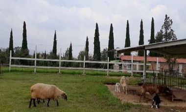 Rancho en VENTA, San Francisco Magu, Nicolas Romero