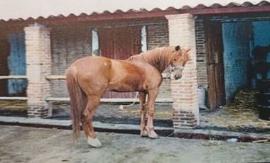 Rancho en VENTA, San Francisco Magu, Nicolas Romero