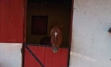 Rancho en VENTA, San Francisco Magu, Nicolas Romero