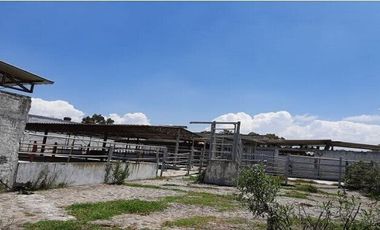 Rancho en VENTA, San Francisco Magu, Nicolas Romero
