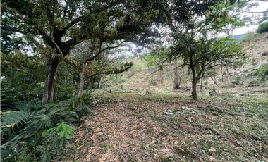 Venta lote vía Medellín San Jerónimo