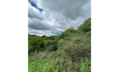 VENTA - LOTES 560 M2 - LA GRANJA