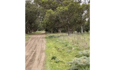 terreno sobre calle 60 entre 207 y 209