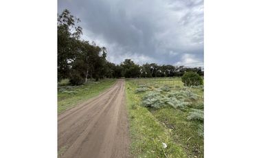 terreno sobre calle 60 entre 207 y 209