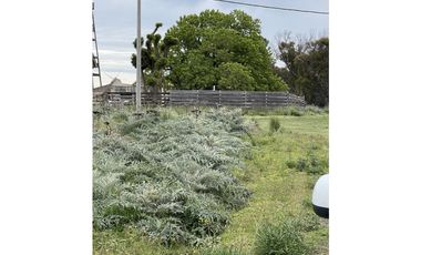 terreno sobre calle 60 entre 207 y 209