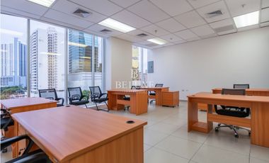 ALQUILER DE OFICINA AMOBLADA LISTA PARA OCUPAR EN OBARRIO (8)