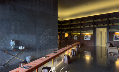 ALQUILER DE APARTAMENTO AMOBLADO EN AVENIDA BALBOA, PH YOO (8)