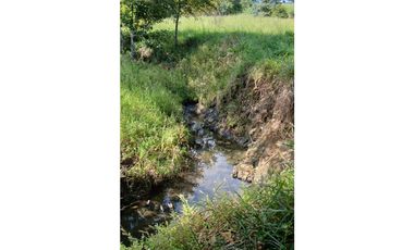 Venta Finca de 30.6 ha. En Paritilla, Los Santos