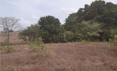 Venta Finca de 30.6 ha. En Paritilla, Los Santos