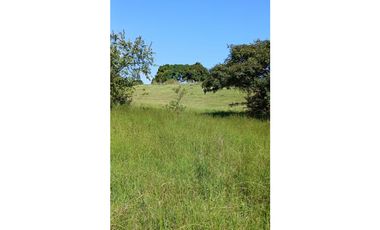 Venta Finca de 30.6 ha. En Paritilla, Los Santos