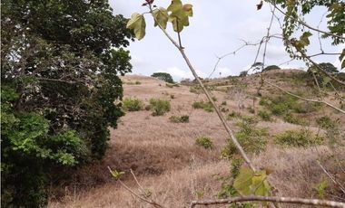 Venta Finca de 30.6 ha. En Paritilla, Los Santos