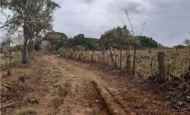 Venta Finca de 30.6 ha. En Paritilla, Los Santos