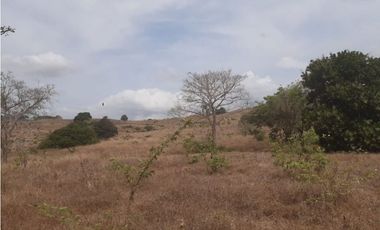 Venta Finca de 30.6 ha. En Paritilla, Los Santos