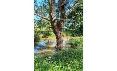 Venta Finca de 30.6 ha. En Paritilla, Los Santos