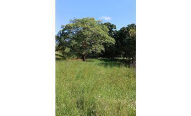 Venta Finca de 30.6 ha. En Paritilla, Los Santos