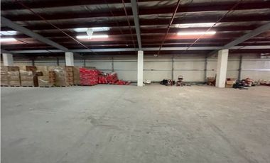 Bodega en francefield colon