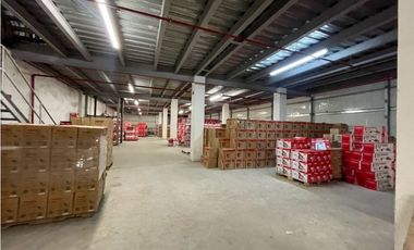 Bodega en francefield colon