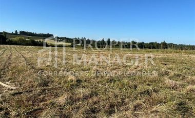 Parcela en Venta en Loteo La Quinta Coihueco - Credito Directo