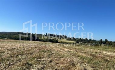 Parcela en Venta en Loteo La Quinta Coihueco - Credito Directo