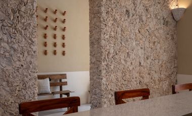 CASA EN EL CENTRO DE MERIDA