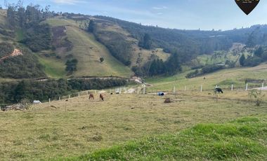 Terreno de venta en Tutupali Chico – código:21538