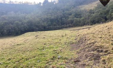 Terreno de venta en Tutupali Chico – código:21538