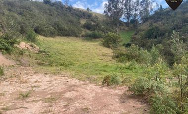 Terreno de venta en Tutupali Chico – código:21538