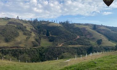 Terreno de venta en Tutupali Chico – código:21538