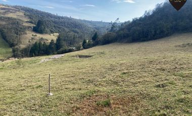 Terreno de venta en Tutupali Chico – código:21538