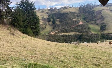 Terreno de venta en Tutupali Chico – código:21538