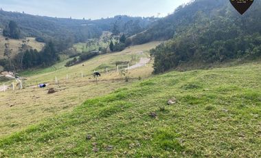 Terreno de venta en Tutupali Chico – código:21538