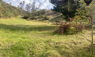 Terreno de venta en Tutupali Chico – código:21538