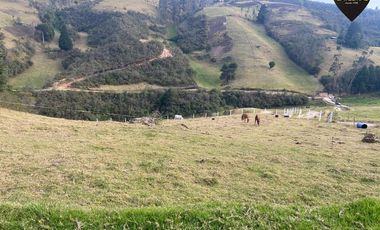 Terreno de venta en Tutupali Chico – código:21538