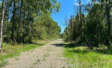 Parcela en Venta en Parcela Camino El Sauce Km 10 Villarrica